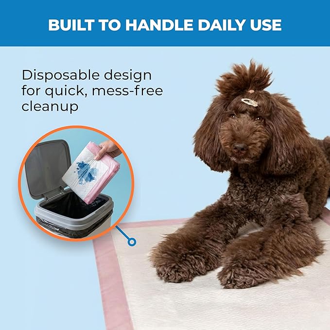 Best Pet Supplies Puppy Pads (22.5 x 22 Inches) - Disposable, Dog Training Potty , Super Absorbent Baby Pink Puppy Pee Pads for Dogs (100 Count)