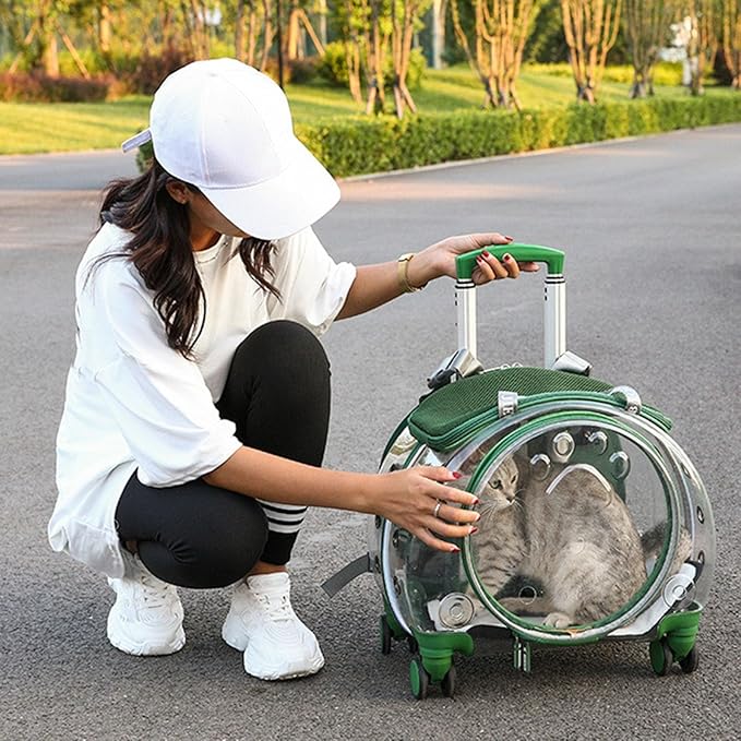 Cat Carrier with Wheels,Transparent Bubble Cat Carrier Pet Trolley Case Pet Backpack for Kitty Small Dog[Clear Ventilation Holes Silent Wheels] Pet Carrier for Hiking Travel Fast Arroval from USA Bla