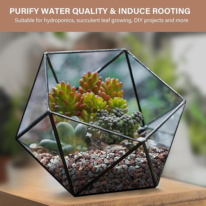 NUPICK 3lb Mix Horticultural Lava Rocks for Plants, 3/8" Gravel for Cactus | Colorful Succulent Potting Soil Amendments, Decorative Bonsai Gritty Rock, Pumice for Plants, Vase Fillers, Top Dressing