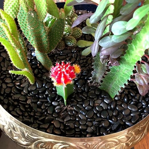 CJGQ 45lb 1/4" Small Pebbles Black for Plants,Potting,Succulents Aquarium Fish Tank Vases Decorative Garden Polished Gravel Rocks Stones