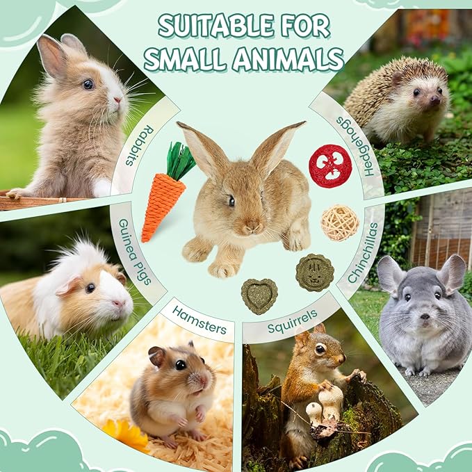 Rabbit Toys Bunny Chew Toys for Teeth, Treats for Chinchilla Rat Squirrel with Natural Apple Wood & Timothy Hay Sticks, Guinea Pig Enrichment Toys Hamster Cage Accessories for Small Pets Indoor
