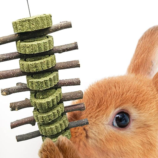 Vila Rabbit Chew Stick, Hanging Treat, Apple Chew Sticks with Round Grass Cakes, Oral Care and Gums, Suitable for Rabbits, Chinchillas, Guinea Pigs and Parrots, 1-Piece