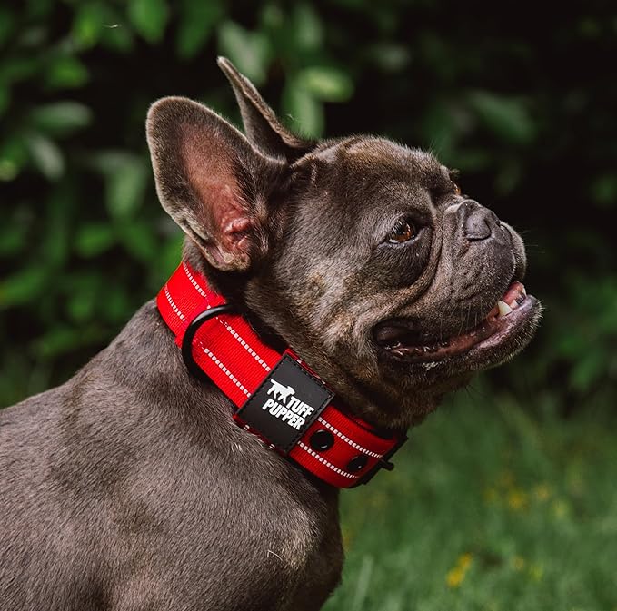 Tuff Pupper Heavy Duty Tactical Dog Collar | 1.25" Wide Ballistic Nylon | Reflective Stitching | Integrated ID Tag Holder | Stainless Steel Buckle | Padded Lining | Small & Medium Dogs (Red, Small)