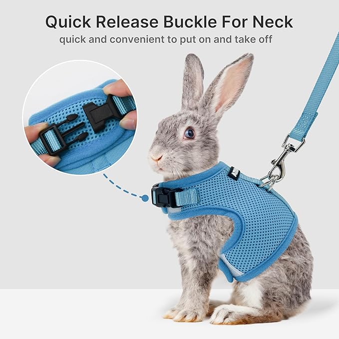 AIITLE Adjustable Rabbit and Leash Set - Lightweight & Portable, Padded Vest with Magic Tape Design, Indoor/Outdoor Use (Training, Hiking) - Fits Hamsters, Rats, Iguanas, Puppies, Cats, Blue M