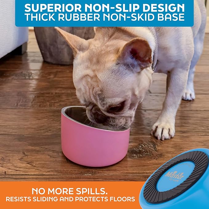 Master Pet Supply Stainless Steel Slanted Dog Cat Food Bowl - 8 oz Heavy Duty - True Blue, Double Wall Insulated, Non-Slip Elevated Bowl for French Bulldogs Pugs Cats, Anti Rust Dishwasher Safe