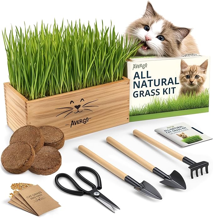 Cat Grass Kit for Indoor Cats – x4 Seed Packets | Cat Grass Seeds with Wooden Planter, Soil & Mini Gardening Tools for Nipping & Nibbling – Pet Wheatgrass Grass