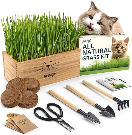 Cat Grass Kit for Indoor Cats – x4 Seed Packets | Cat Grass Seeds with Wooden Planter, Soil & Mini Gardening Tools for Nipping & Nibbling – Pet Wheatgrass Grass