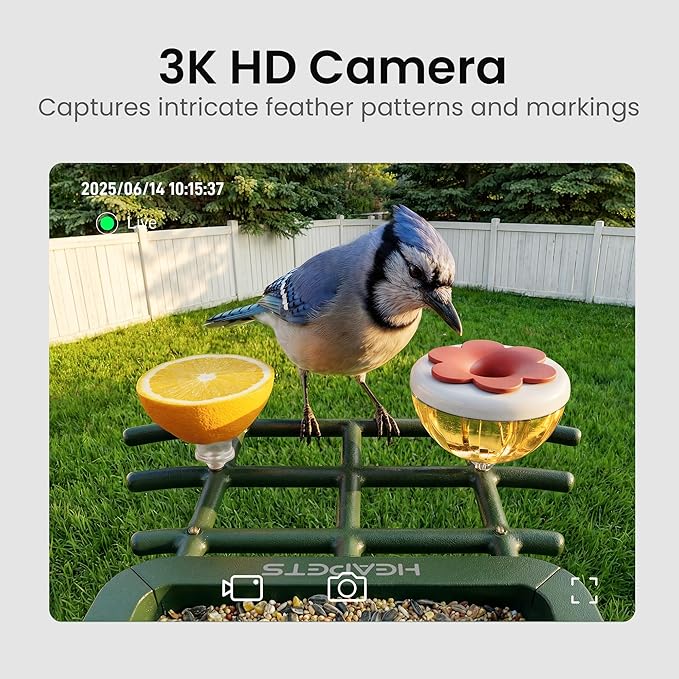 Smart Bird Feeder with Camera, 3K HD Live Stream, AI Species Identification, Solar Powered, Instant Motion Alerts, IP65 Weatherproof Outdoor Gifts for Bird Lovers, Green