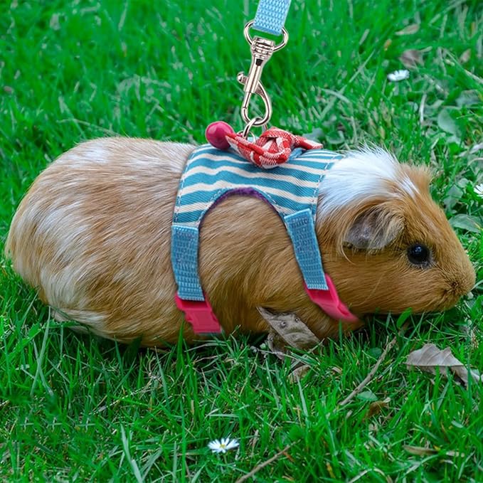 Hypeety Small Animal Harness Vest and Leash Set Soft Mesh Small Pet Harness Hamster Rabbit Chest Back Outdoor Leash Traction Rope for Rabbit Ferret Guinea Pig Kitten Clothes Accessory (M, Blue Stripe)