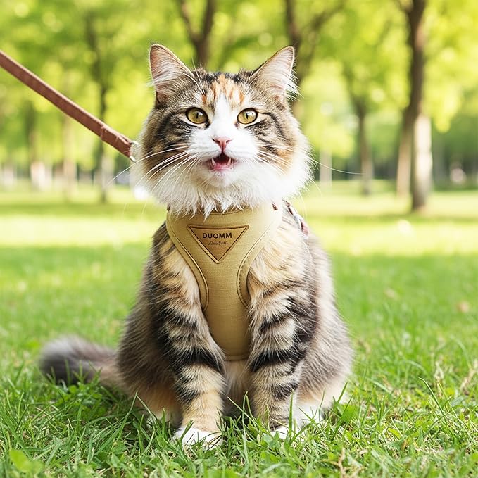 Escape-Proof Cat Harness and Leash Set - Adjustable and Comfortable - Ideal for Walking Cat Outdoors - Fits Small Dogs, Kittens, Medium, and Large Cats (Beige, S)