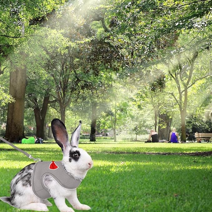 2 Pack Adjustable Bunny Rabbit Harness and Leash Set Breathable Mesh Vest Harness for Rabbits Kitten Ferret Puppy Small Pets Walking Supplies-Grey&Pink,S