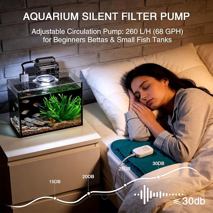 2 Gallon Betta Fish Tank, Small Aquarium Kit,Glass Small Fish Tank,Betta Fish Tank with a lid and Light and Filter, Small Transparent Glass Fish Tank with Light and Filter (Black Glass Background)