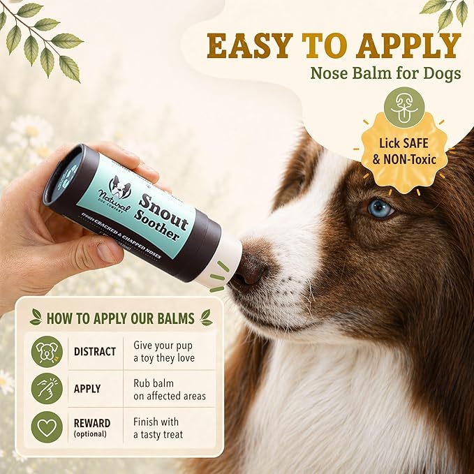 Natural Dog Company Snout Soother Dog Nose Balm – Moisturizing Care for Dry, Crusty, Cracked Noses with Coconut Oil & Shea Butter, Lick Safe Dog Snout Balm for All Breeds - 2 oz Tin