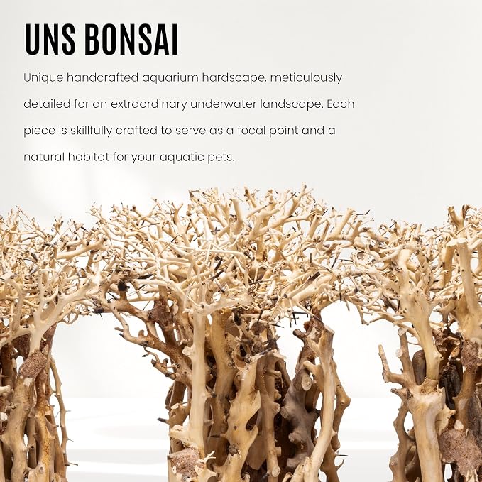 Ultum Nature Systems Bonsai - Handcrafted Hardscape Driftwood for Aquarium, Terrarium, Vivarium, Natural Aquascape Hardscape Decorations, Aquascaping Hardscape for Live Aquatic Plants - 005, Small