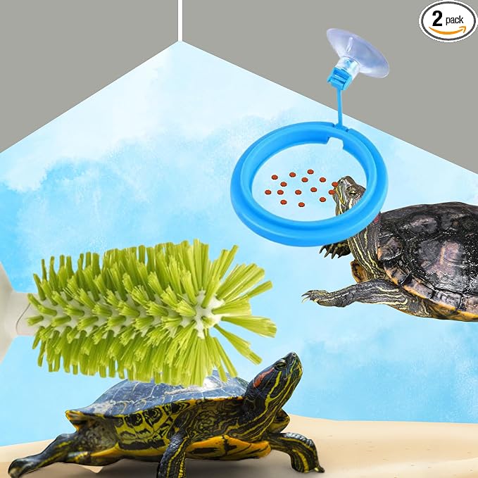 Turtle Brush with Suction Cup & Feeding Ring, 2-Piece Cleaning & Feeding Set (Green)