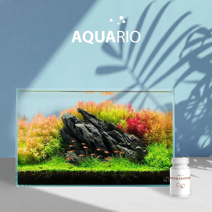 Aquario Neo Cap - Water Conditioner for Aquarium Tank - Promotes Feeding Response, Supports Healthy Growth, Safe for Fish and Shrimp - Accelerator, 20 Capsules