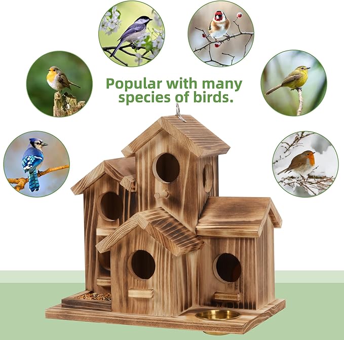 MIXXIDEA Bird House 5 Hole Bird Houses for Outside with Thickened Wooden Board，Birdhouse for Blue Bird Humming Bird and Chickadee Swallow. Hanging Edible Wild Bird Nest Garden Decorative