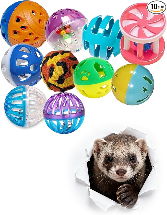 10 Pack Ferret Ball Toys Ferrets, Bell Inside, Durable PP Material, Interactive Play for Dental Health & Stimulation (1.5'' - 2.2'')