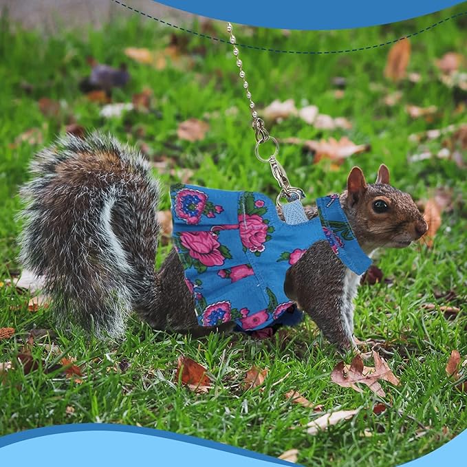 Guinea Pig Harness Skirt Clothes and Leash, Adjustable Hamster Ferret Harness and Leash Set, No Pull Walking Vest for Ferrets, Chinchillas and Similar Small Animals (Blue S)