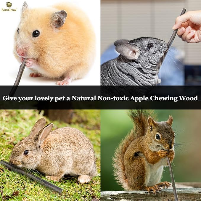 SunGrow Apple Sticks, Wood Chew Sticks for Rabbits, Chinchillas, Bunny, Hamster, Squirrel, Guinea Pigs, Small Animals Molar Pet Chew Toys Treat for Teeth Grinding 200g (7 oz)
