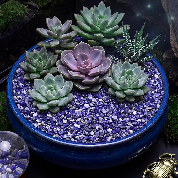 1LB Crystal Chips Stone Lapis Lazul 3-5mm Mini Decorative Rock | Crushed Crystal Quartz Bulk,Irregular Polished Rocks for Fish Tank,Vases Filler,Succulent Plants Decor,Aquarium Gravel Rocks