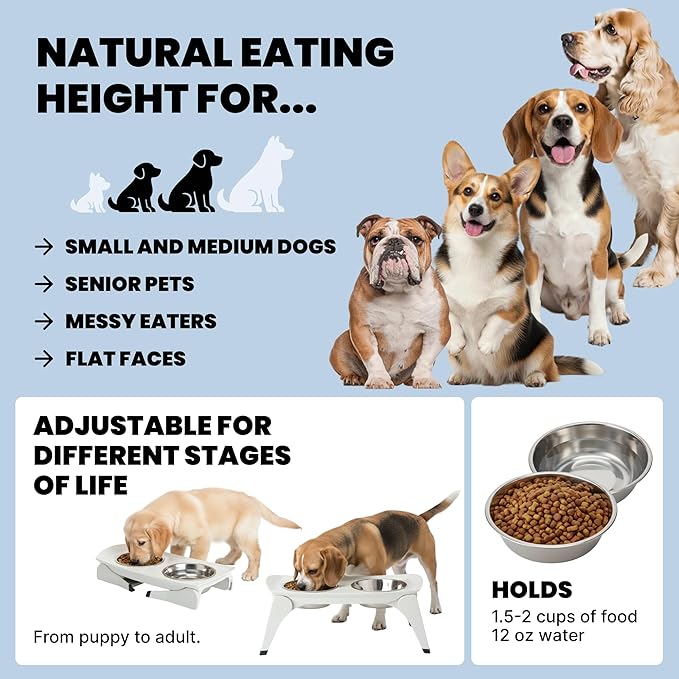 MalsiPree Elevated Dog Bowls for Small Dogs - 6.5" Raised Dog Bowl Stand with Splash Guard - Portable Folding Pet Feeding Station with 2 Stainless Steel Bowls - Dog Birthday & Adoption Gift, White
