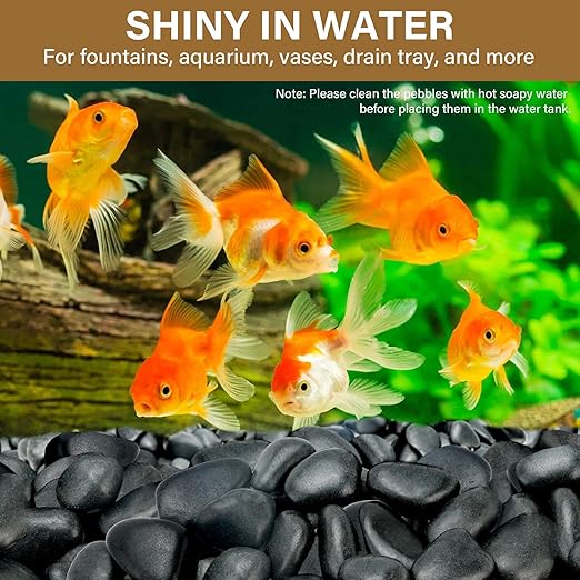 6lb Black River Rocks for Plants Indoor, 2-3Inch Pebbles for Vases Fillers, Decorative Gravel for Fish Tank, Natural Polished Stones for Succulent, Bonsai, Landscaping, Bird Baths