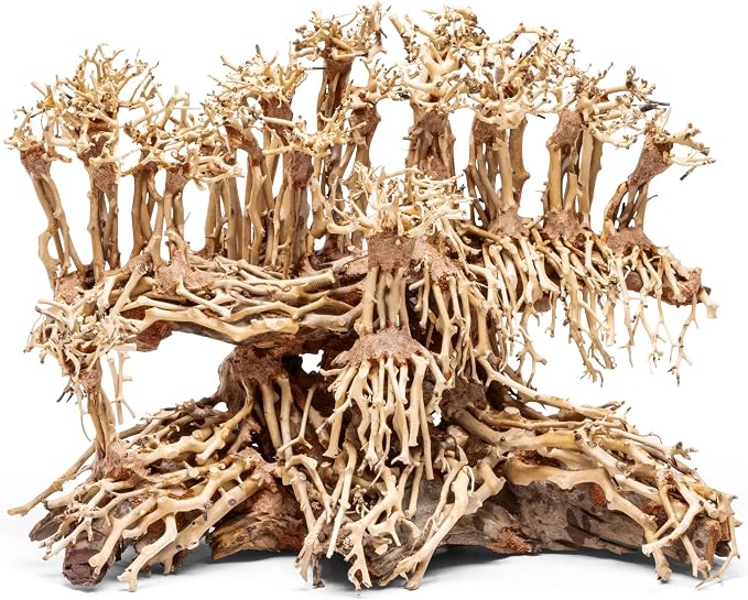 Ultum Nature Systems Bonsai - Handcrafted Hardscape Driftwood for Aquarium, Terrarium, Vivarium, Natural Aquascape Hardscape Decorations, Aquascaping Hardscape for Live Aquatic Plants - 017, Large