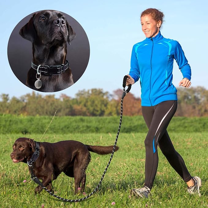 Ladoogo Reflective Dog Collar Padded with Soft Neoprene Breathable Adjustable Nylon Dog Collars for Small Medium Large Dogs (Medium (Pack of 1), Black Collar+Leash)