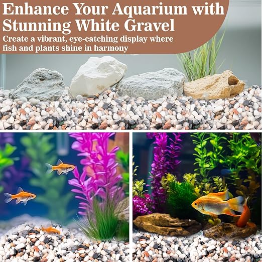Sukh Mix Color Pebbles for Cactus - 420G Polished River Stones | 1/5 Inch Cactus Gravel Pebbles, Natural Decorative Small River Rocks for Gardening, Vases, Landscaping and Fish Tanks