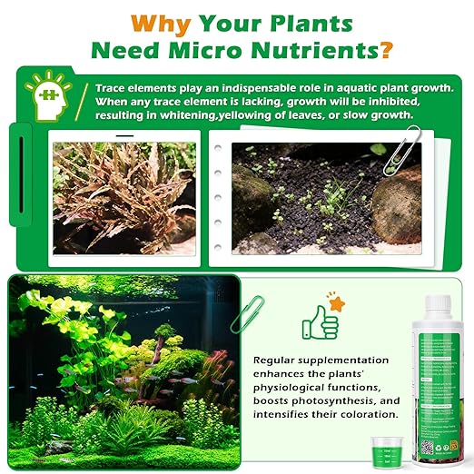 HC035 All-in-One Liquid Aquarium Plant Fertilizer - with Essential Micro & Macro Nutrients for Freshwater Planted Tanks, 150ml/500ml/1000ml (150mL)