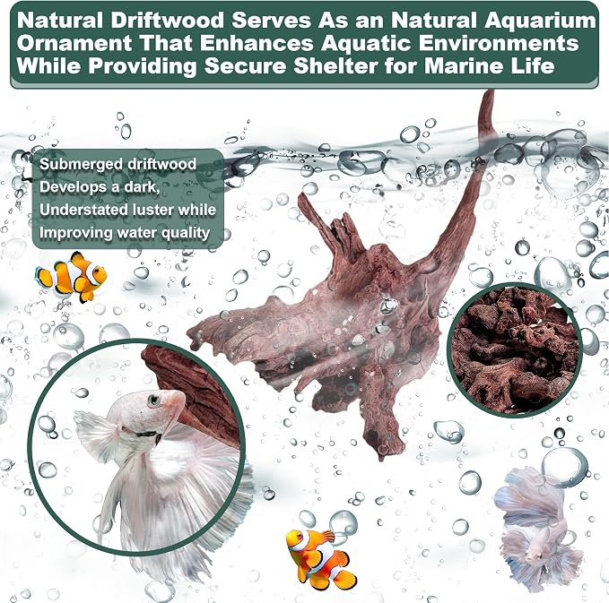 Natural Wood Driftwood for Aquarium Fish Tank Decor,Assorted Driftwood Trunk Branch for Reptile Tank Decor (LLM-Driftwood (4 to 8 Inch)-Pack of 4)
