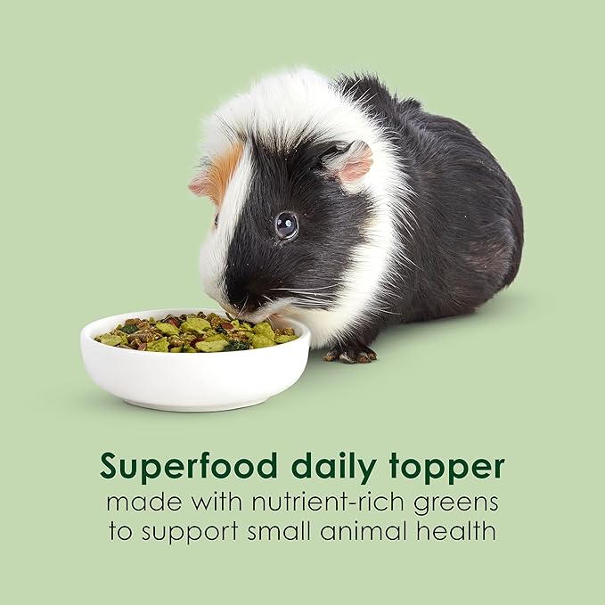 Kaytee Super C Greens, Daily Food Topper with Superfoods for Small Animal Pets, Contains Long-Lasting Vitamin C for Immune Support, 2.75 Ounces, Pack of 6