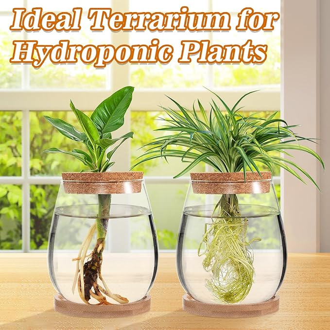 Plants Propagation Station, Gardening Gifts for Women Mom Plant Lovers | Biggun 2Pcs Desktop Plant Terrarium Glass Hydroponic Vases, Water Plant Jars (Water Drop Shape, Separated Tray Style)