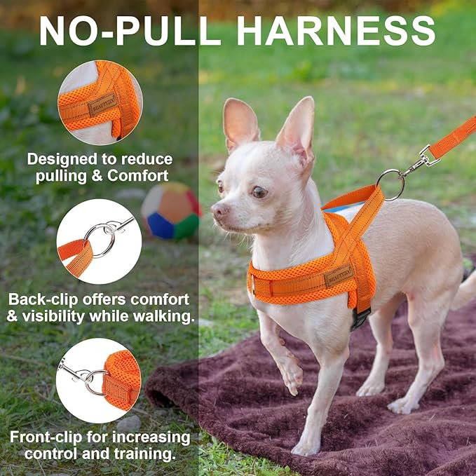 BEAUTYZOO No Pull Dog Harness Medium Sized Dog, Breathable Mesh Padded Dog Harness and Leash Set, Adjustable Reflective Escape Proof Dog Vest Harnessss Quick Fit for Training Walking, Orange M