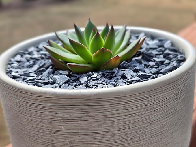 Natural Slate Stone Gravel 1/8 to 1/4 inch - USA Sourced and Packaged for Basing Models, Wargaming, Mosaic Stone Art, Crafts, Bonsai, Succulents, Miniature or Fairy Gardens, Aquariums (1lb)