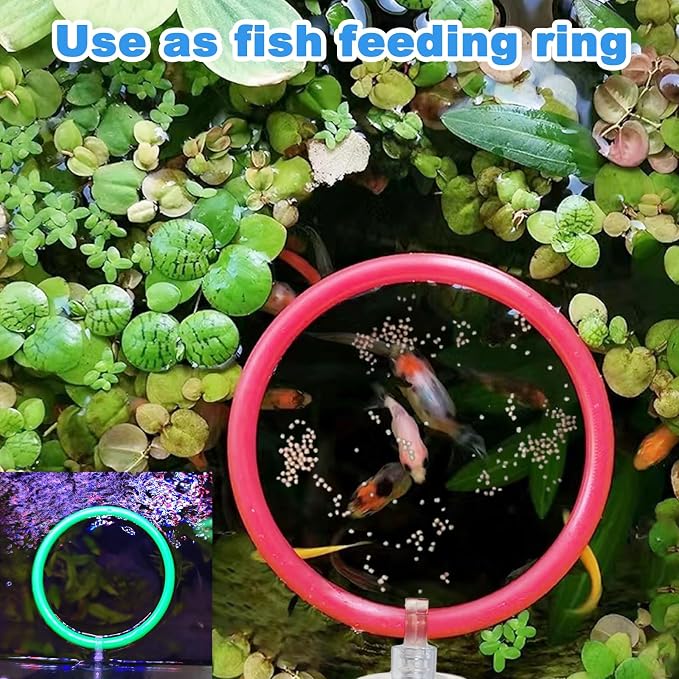 Betta Fish Toys - 4 Training Rings & 2 Bio Filter Balls, Beta Exercise Loop Toys and Nitrifying Balls Set, Betta Fish Tank Accessories Feeding Ring for Small Tank Decor Aquarium Water Conditioner