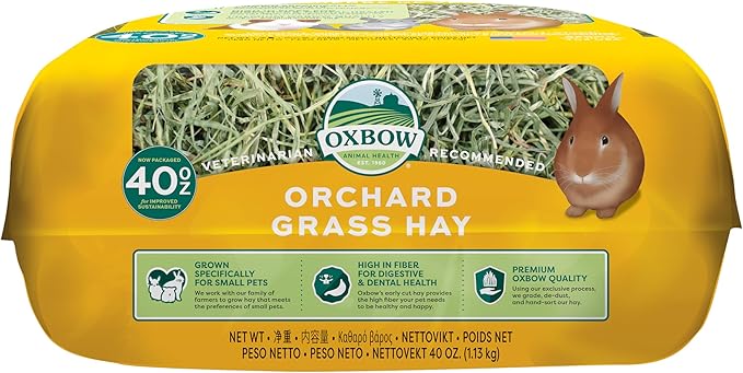 Oxbow Orchard Grass Hay for Small Pets – All-Natural Long Strand Fiber Hay for Rabbits,Guinea Pigs,Chinchillas,and Hamsters – Supports Digestive Health and Enrichment-– 40 oz Bag,(Pack of 2)