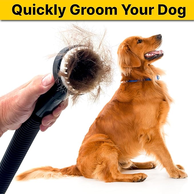 Shop-Vac 9190400 Dog Grooming Tool, 1.25 Inch Diameter, Soft Bristles for Gentle Pet Grooming and Vacuuming, (1-Pack)