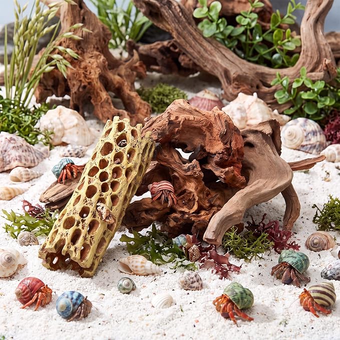Layhit 6 Pcs Aquarium Driftwood and Cholla Wood, Fish Shrimp Tank Decor | 4-9" Natural Driftwood for Aquarium Decor, 2" x 5.7" Shrimp Hides Resin Cholla Wood, Reptile Hermit Crab Tank Accessories