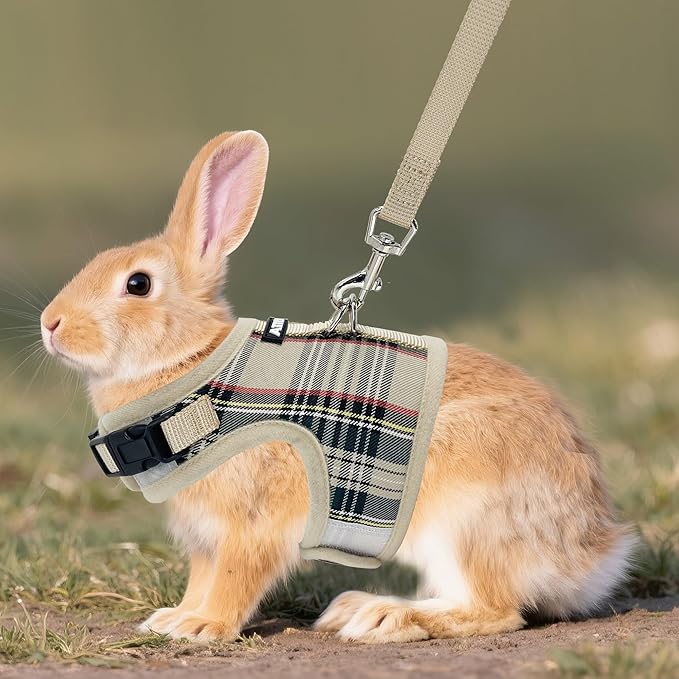 AIITLE Bunny Harness and Leash Set Escape Proof - Magic Tape Design, Lightweight Plaid Pattern Mesh Padding, No Pull No Choke for Puppy Cat Rat Squirrel Ferret, Outdoor Walking Running, Beige S