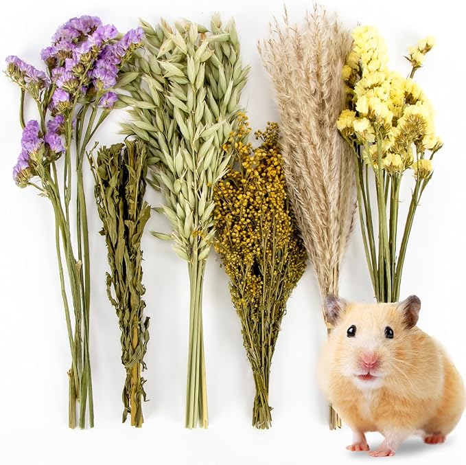 Sukh 42Pcs Herb Bedding Habitat Decor - Natural Flower Hamster Mate Herbs Sprays Cage Safe Pet Accessories Decorations Hideout for Hamsters Mouse Guinea Pig Dwarf Gerbils Syrian Mice