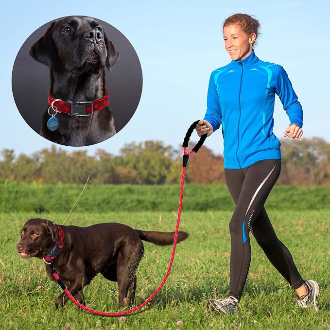 Ladoogo Reflective Dog Collar Padded with Soft Neoprene Breathable Adjustable Nylon Dog Collars for Small Medium Large Dogs (Small (Pack of 1), Red Plaid Collar+Leash)