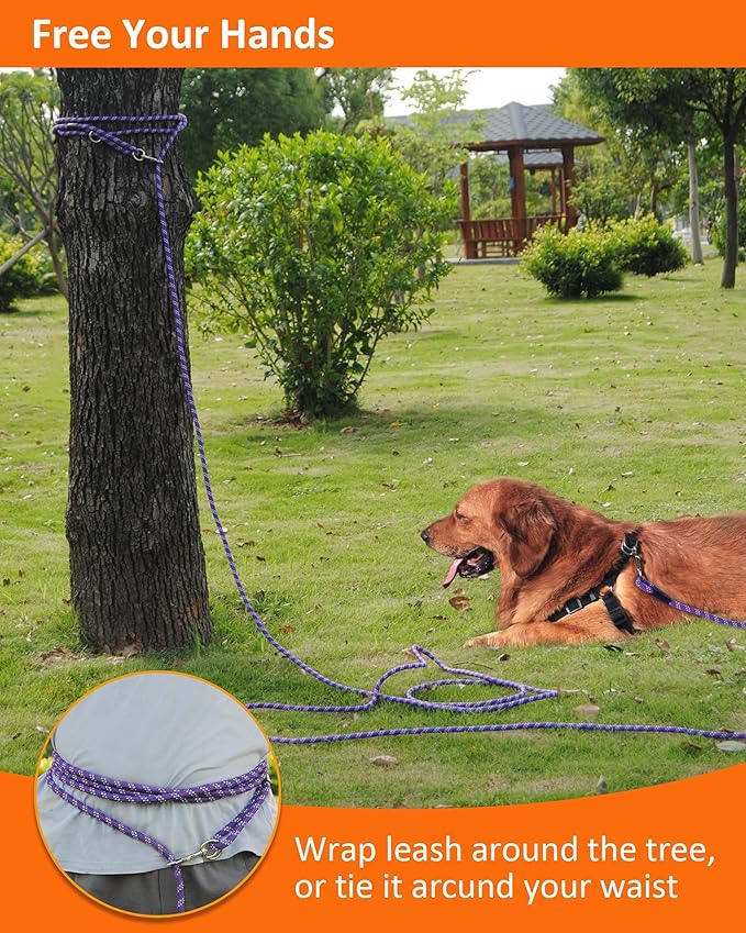 Long Dog Leash for Training - 10FT/16FT/30FT/50FT/100FT, Reflective Check Cord, Heavy Duty for Large, Medium, Small Dogs - Walking, Playing, Camping, Yard