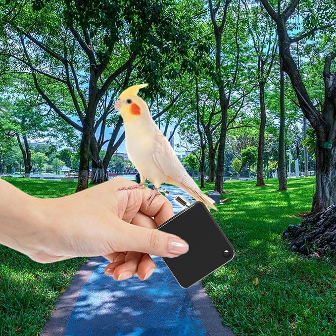 Parrot Leashes - Adjustable Flying Rope, Soft Foot Ring Strap, Lightweight Training Harness | Outdoor Bird Accessory for Parakeet Cockatiel Macaw Conure Parrotlet Lovebird Flights Safety Exercise