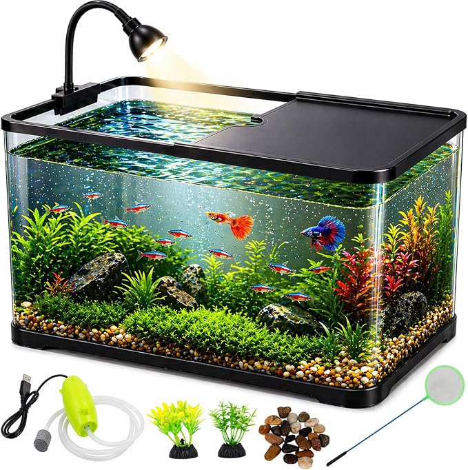 5 Gallon Fish Tank Starter Kit for Betta Shrimp Guppy & Neon Tetra | Clear AS Plastic Desktop Aquarium with Bottom Drain, LED Light, Air Pump, Lid, Fish Net, Aquatic Plants and Pebbles for Home