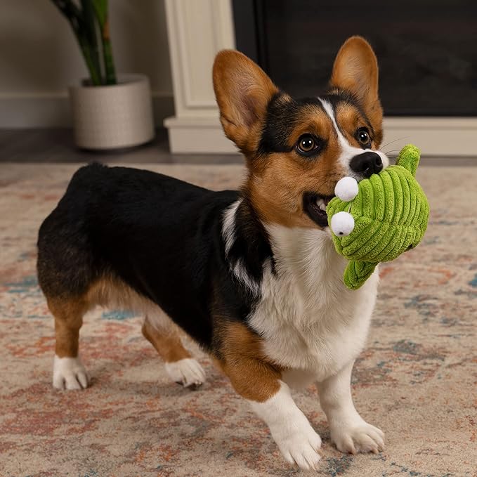 goDog PlayClean Germs Squeaky Plush Dog Toy with Odor-Eliminating Essential Oils, Chew Guard Technology - Green, Large