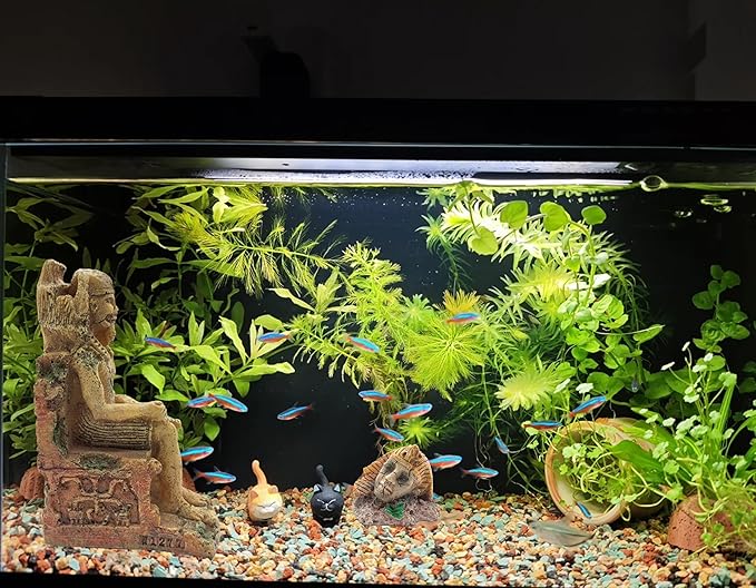M2cbridge Aquarium Decor Castle Shipwreck Ornament Underwater Landscape(Egyptian Pharaohs)