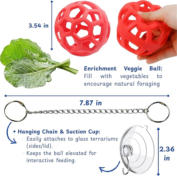 Bearded Dragon Reptile Hammock Enrichment Cage Accessories, Bearded Dragon Feeder Ball and Breathable Mesh Hammock, Lizard Hammocks Lounger Bed Rest and Feed Toy, Reptile Tank Accessories (Red)
