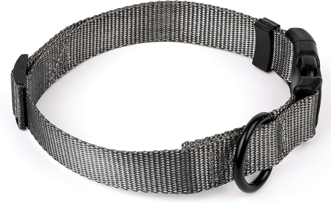 Country Brook Petz - Everyday Nylon Dog Collar and Leash - 10+ Cool Colors (3/4 Inch, Medium, Charcoal)